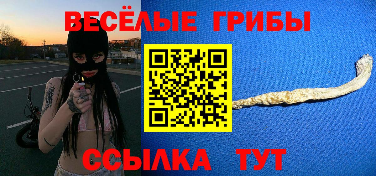 Галлюциногенные грибы Cubensis Клин