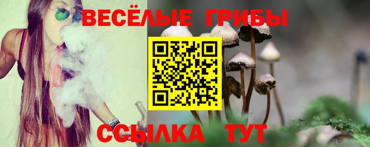 Галлюциногенные грибы прущие грибы  Вход с VPN  Клин 
